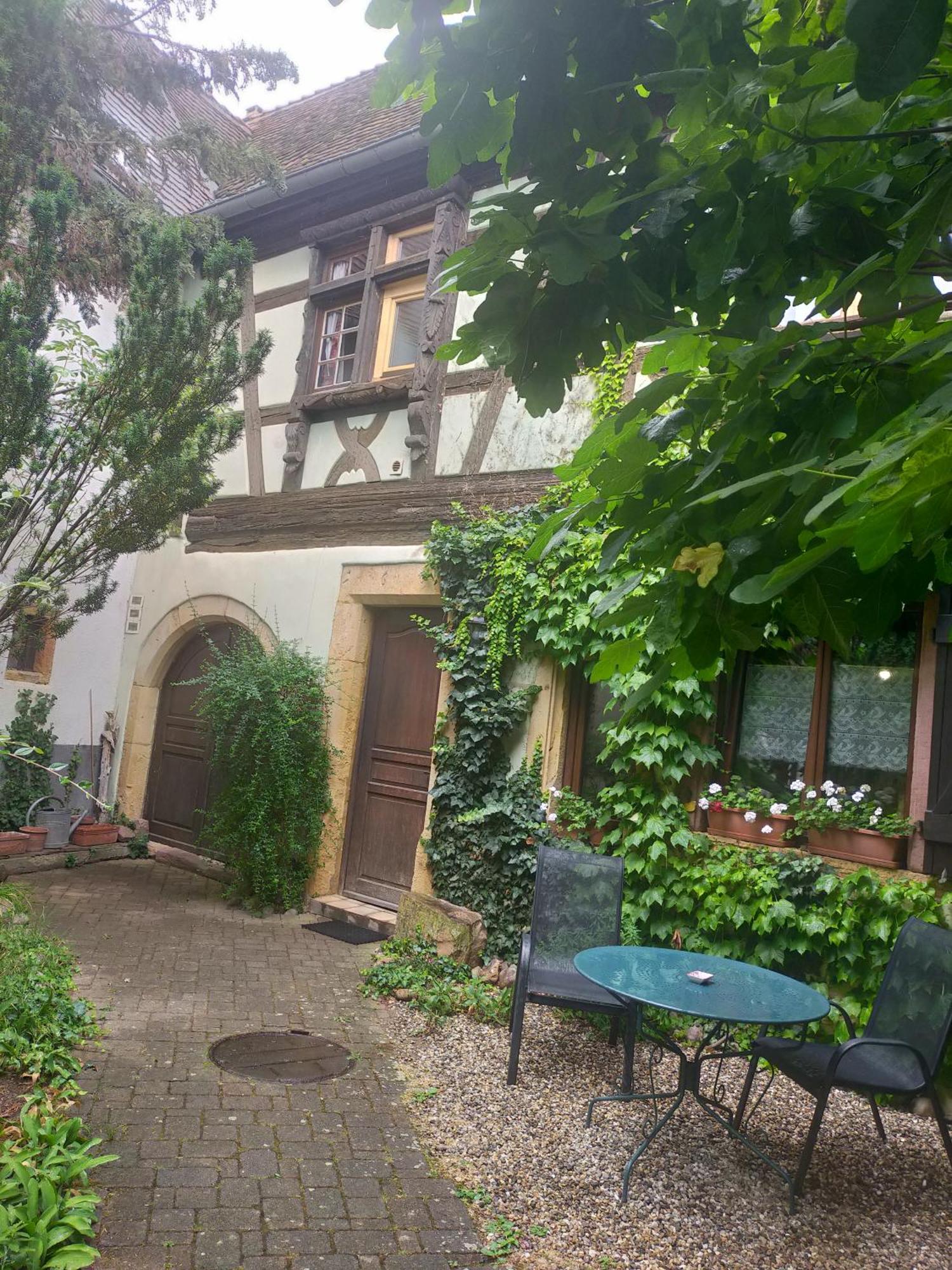 Studio La Grenouillere Turckheim Buitenkant foto